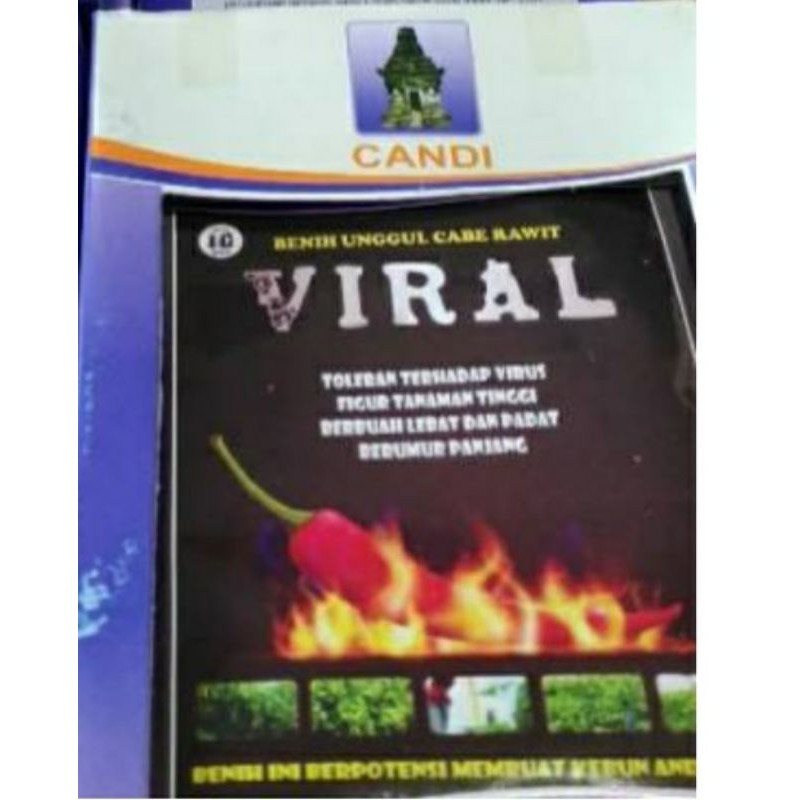 Cabe RAWIT VIRAL Tidar. Limited Edision Terbatas
