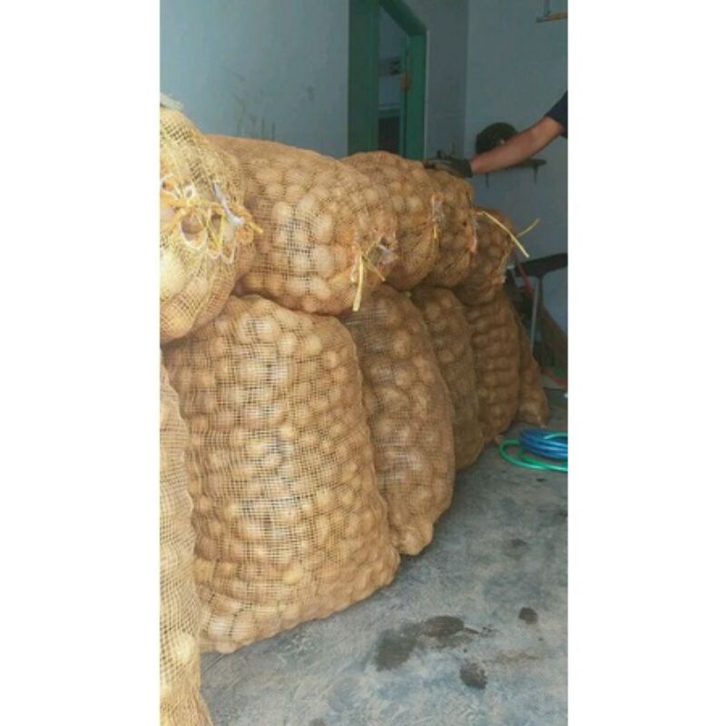 

kentang jumbo-dieng-granola