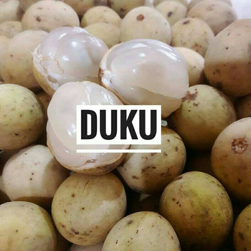 1kg buah duku palembang manis