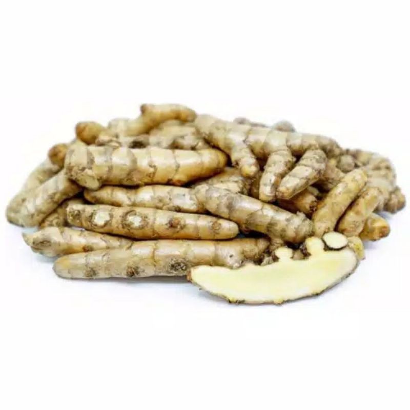 

Kunyit Putih Segar Fres Isi 1 Kg