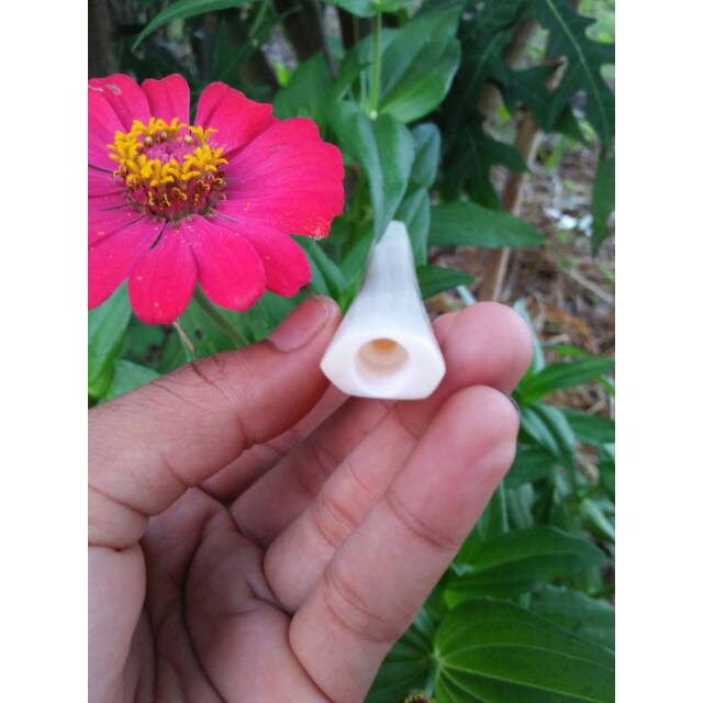 PIPA ROKOK LANGKA TULANG KERBAU SEGI 6
