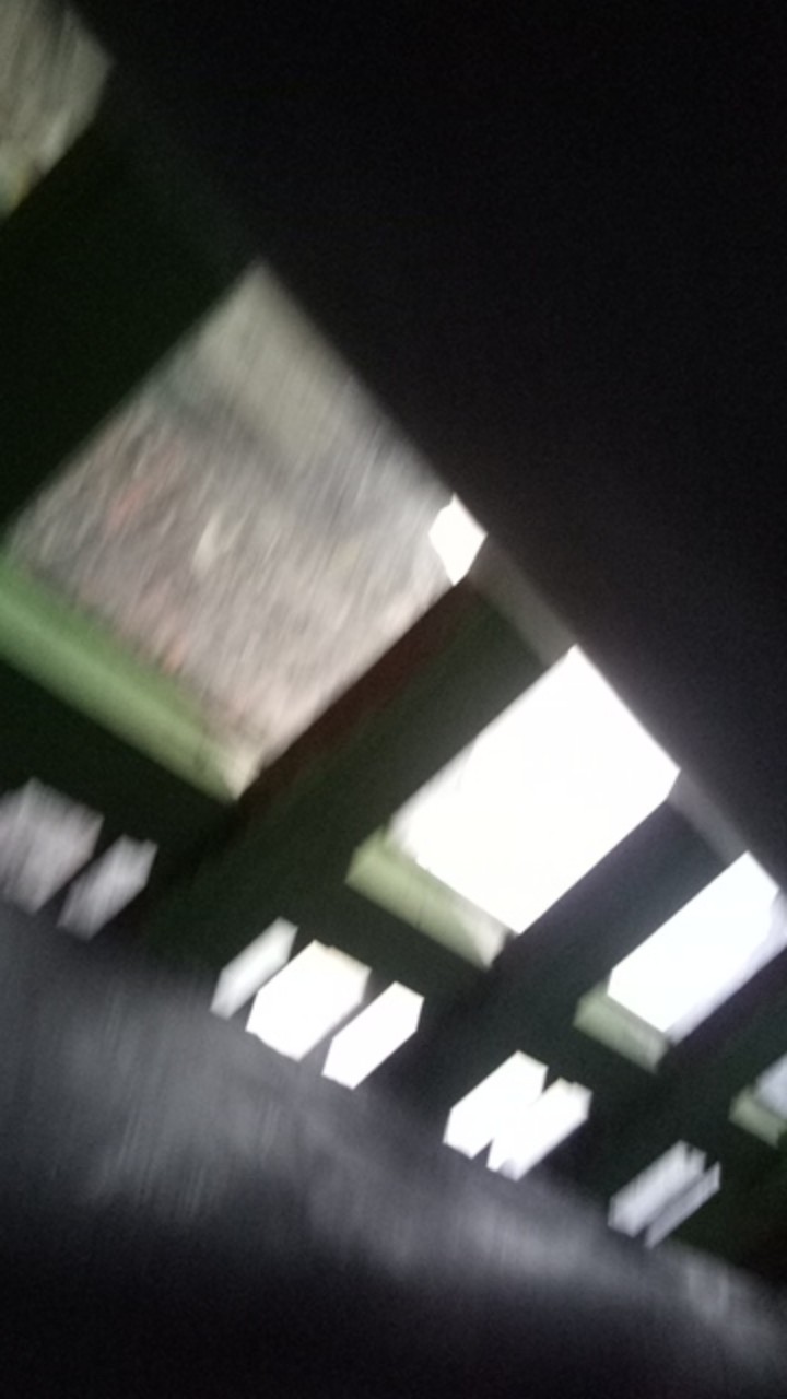 Daia Detergent 1.8kg