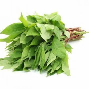 

sayur daun singkong segar