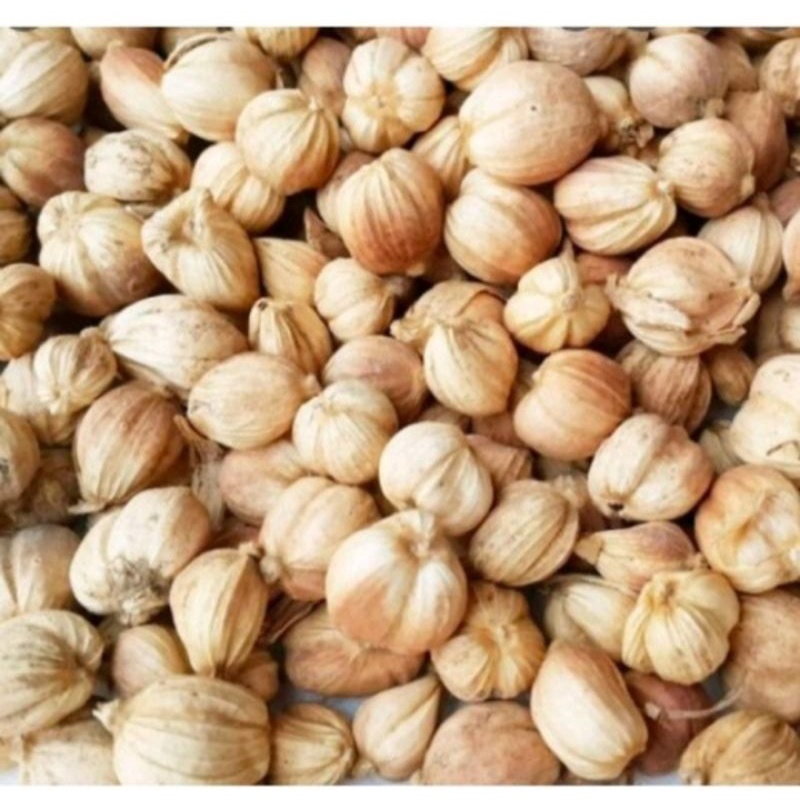 

BIJI KAPOLAGA PUTIH 250 GRAM
