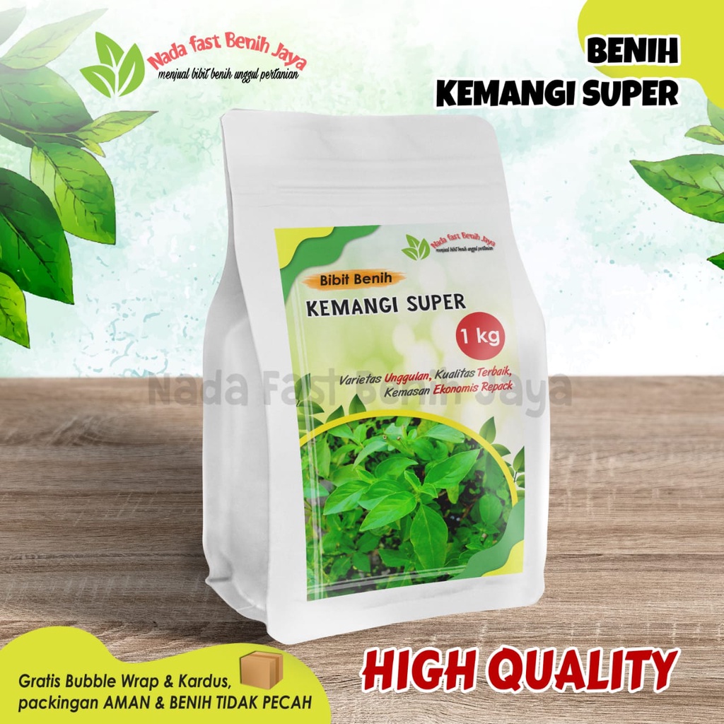 Benih pilihan 1 kg biji daun kemangi super / bibit benih kemangi