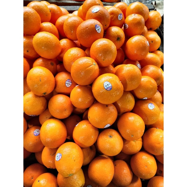 

Sunkist navel USA / sunkist manis segar / sunkist impor