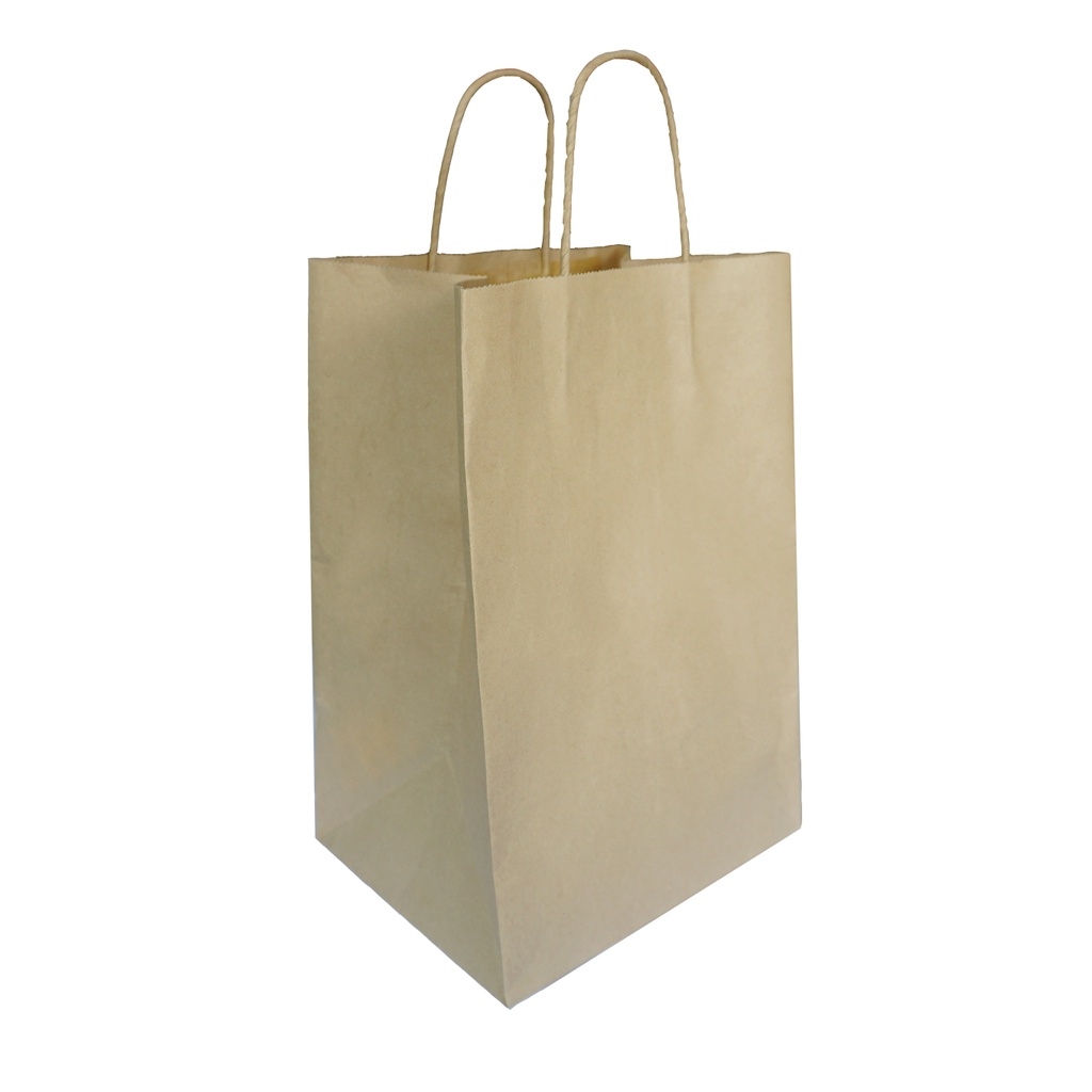 Paper Bag Tas Belanja Kantong Kertas (SBG9-20X16.5X30)