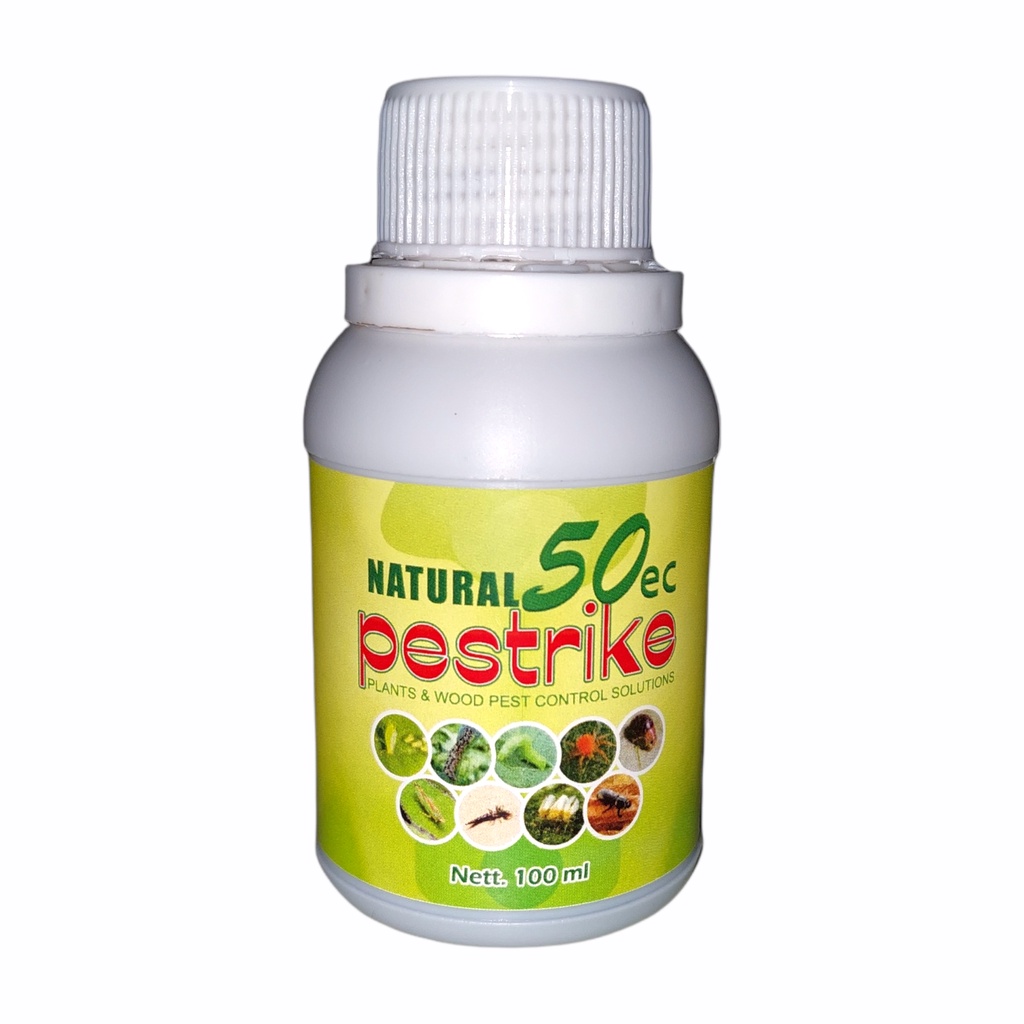 Jual Insektisida Ulat Grayak Pestrike 50EC Obat Hama Tanaman Alami ...