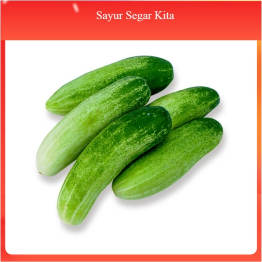 

Timun Lokal 1 Kg