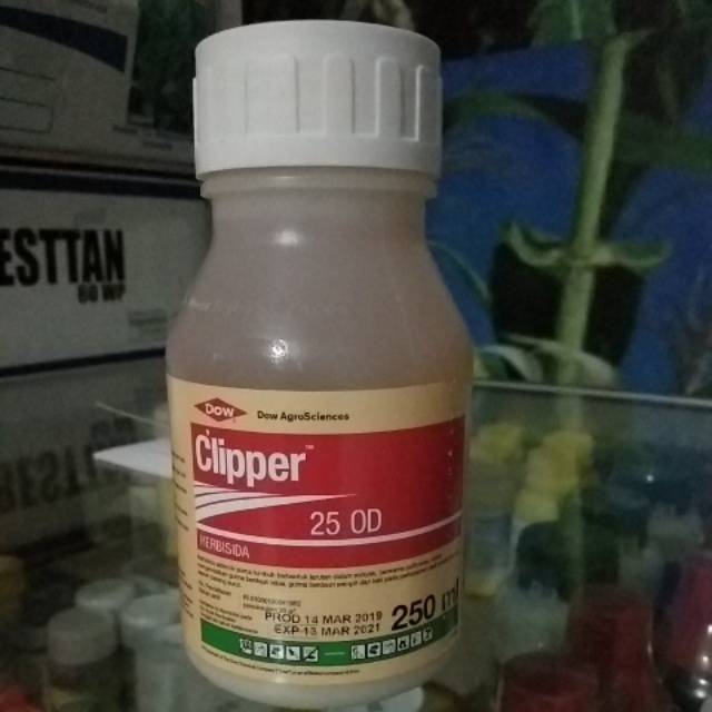 CLIPPER 25OD