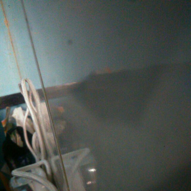 Murah Marius Stool, Bangku Putih