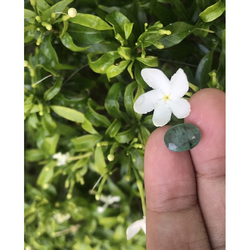 Natural emerald zamrud 2,45 carat