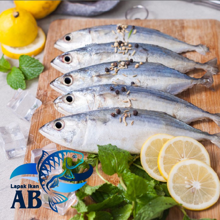 

IKAN KEMBUNG BANJAR