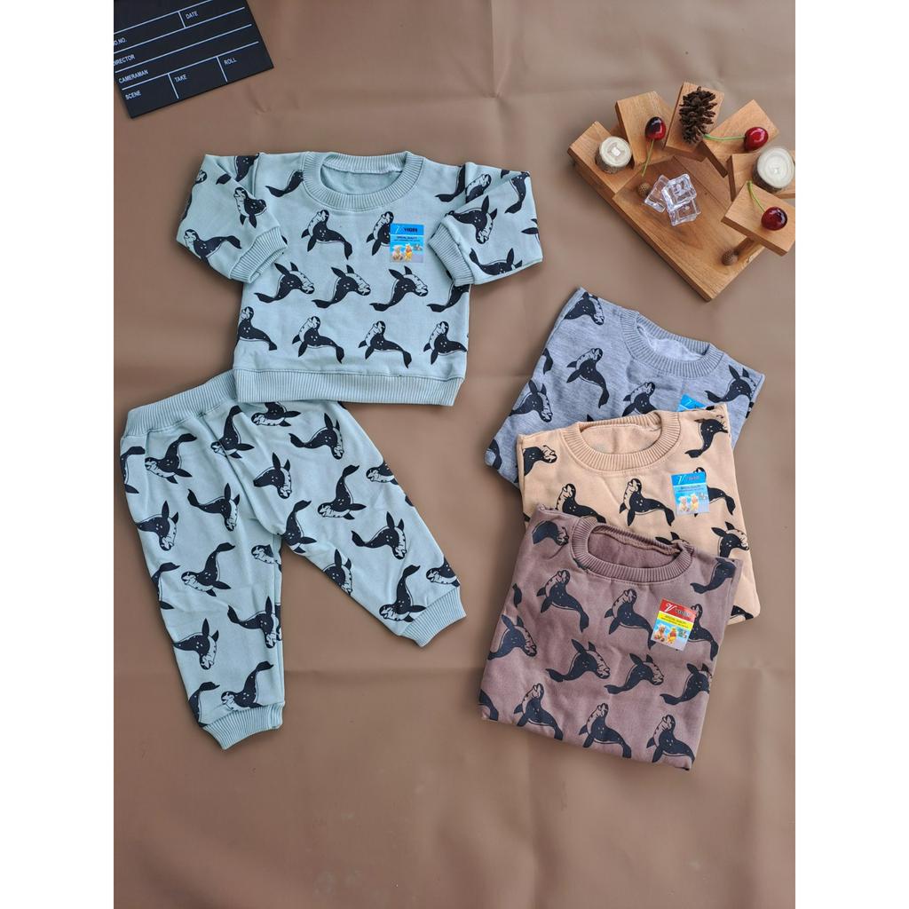 setelan sweater anak laki-laki lengan panjang 3-18 bulan motif singa laut