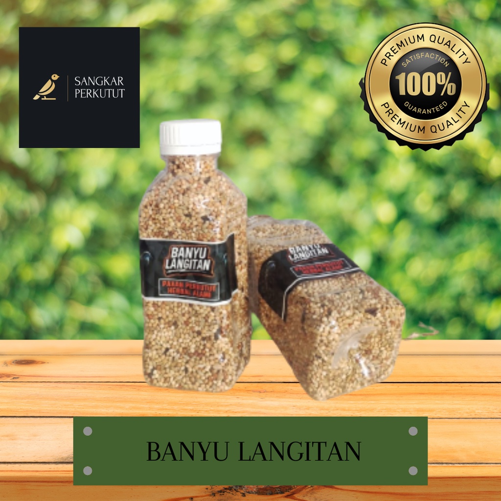 PAKAN PERKUTUT BANYU LANGITAN MAKANAN BURUNG PERKUTUT HERBAL TERBAIK