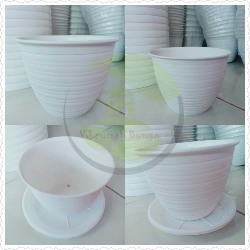  pot  bunga  tawon  putih ukuran 15cm merk SKC Shopee Indonesia