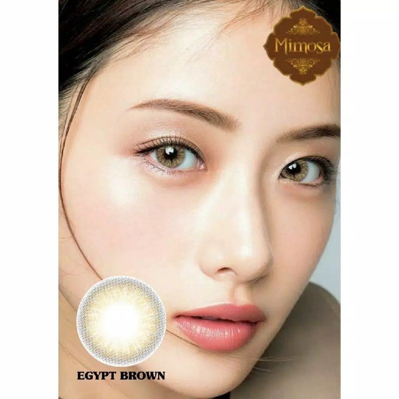 CUCI GUDANG 2025 Softlens Mimosa/Normal Minus/ Softlens 14.5/Standar