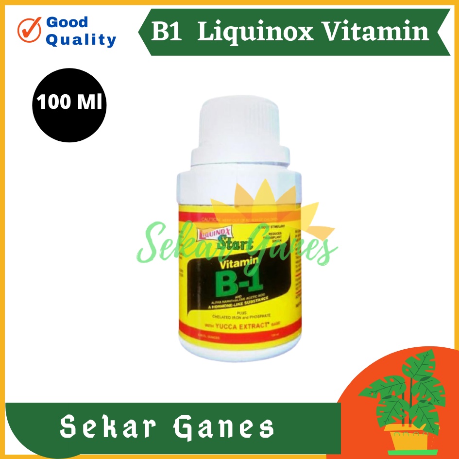 Ori B1 Liquinox 100 Ml Penumbuh Akar Obat Anti Stres Vitamin Nutrisi B1 Tanaman Bibit Stek Cangkok