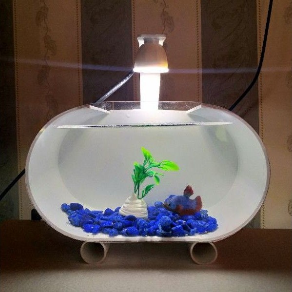 AQUARIUM MINI IKAN CUPANG AKRILIK PIPA PVC