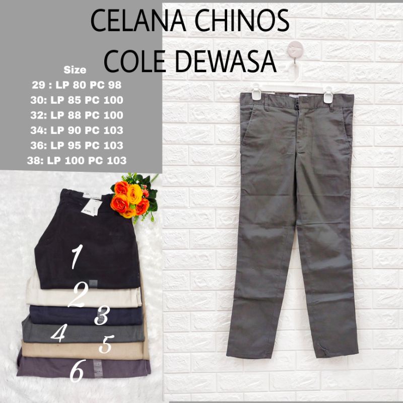 CELANA CHINOS COLE COWOK DEWASA