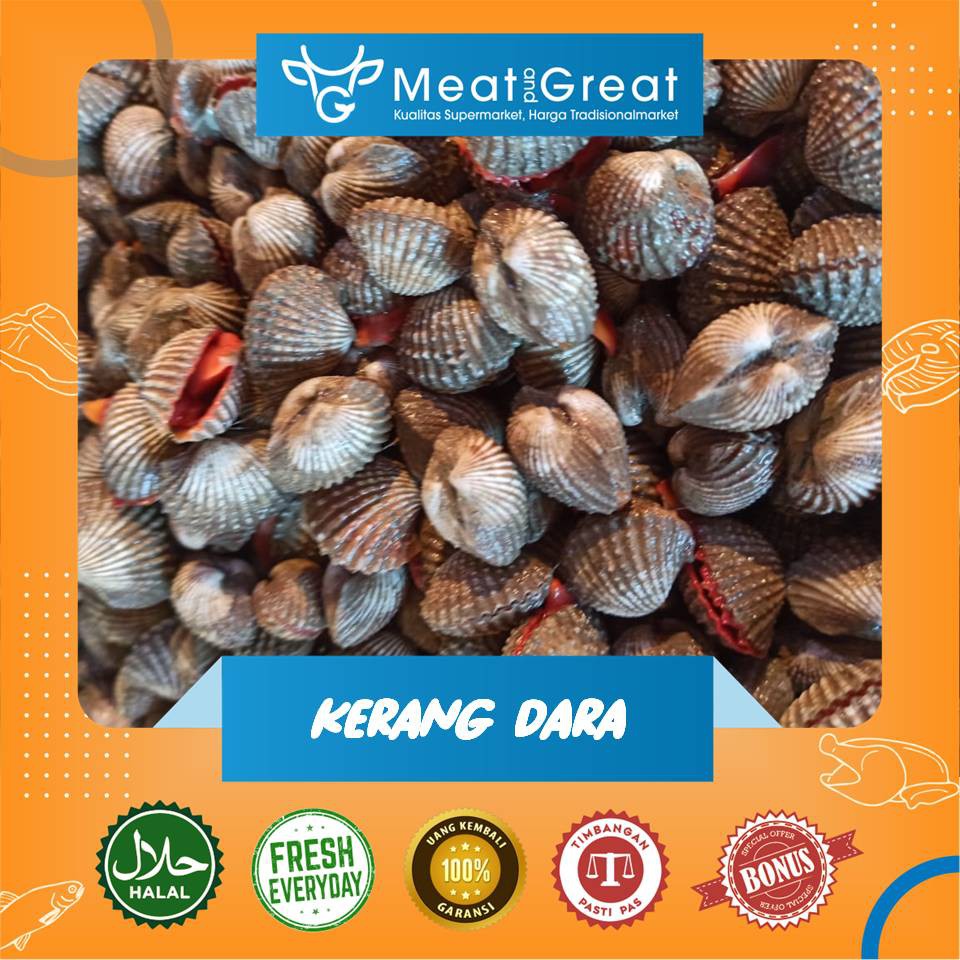 

Kerang Dara Mentah Segar 1 kg & 500gr