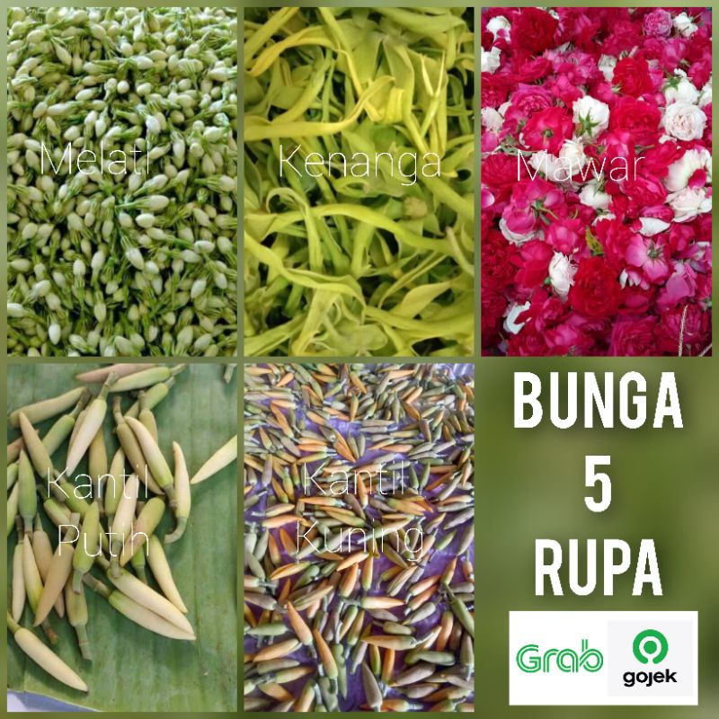 bunga 5 rupa melati mawar kenanga kantil