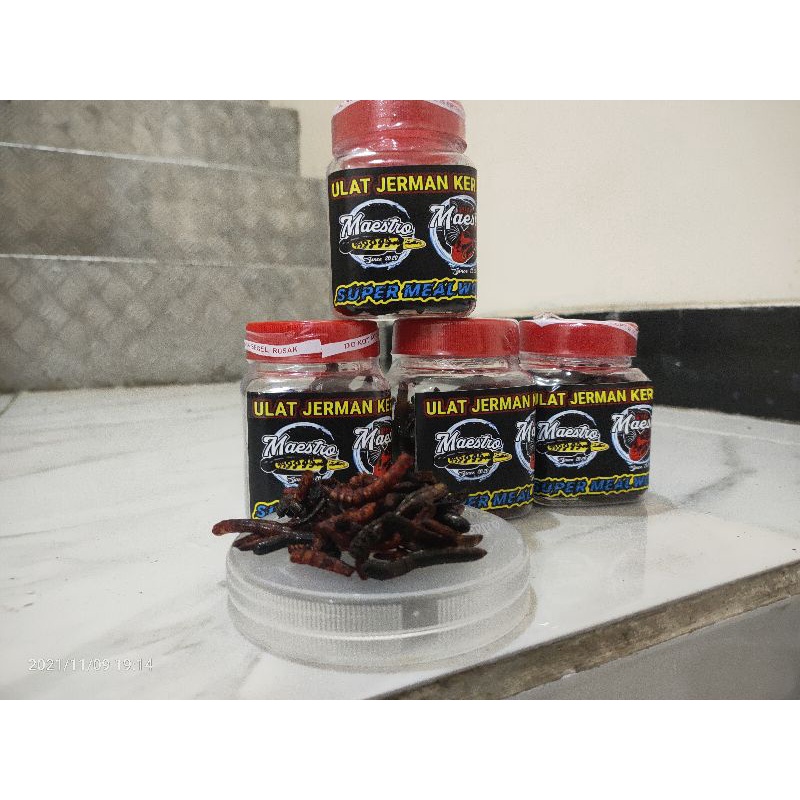 Ulat Jerman Kering Super Mealworm Maestro