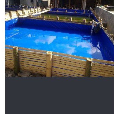 terpal kolam 5x6x1,5 terpal a12 terpal tebal terpal Korea