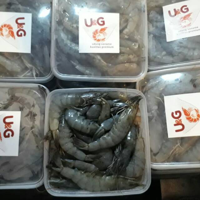 Udang Vaname size 40 (JUMBO)