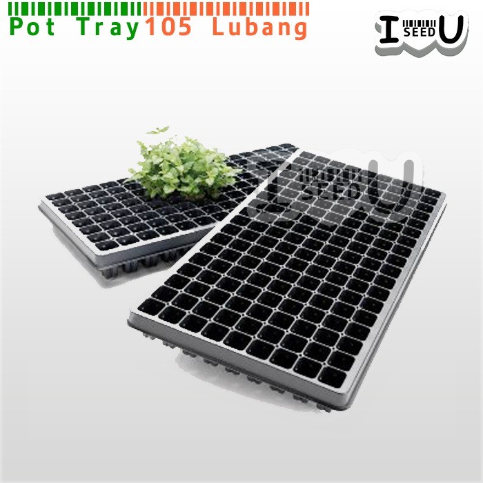 Tray Semai Benih/Biji 105 Lubang Pot Tray