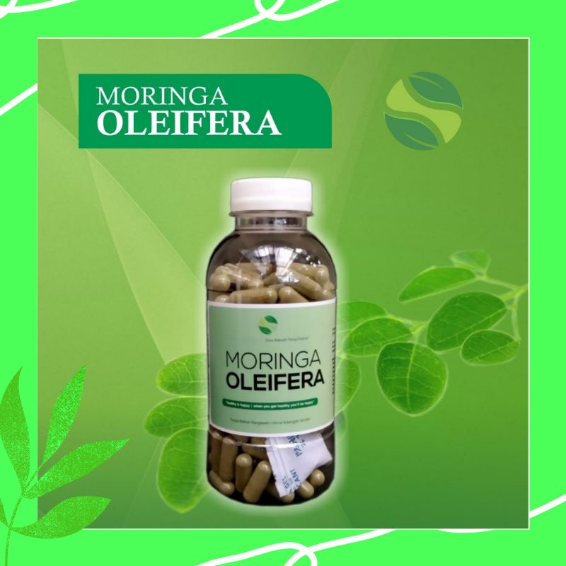 

Daun Kelor Moringa Oleifera Synthesa Herba