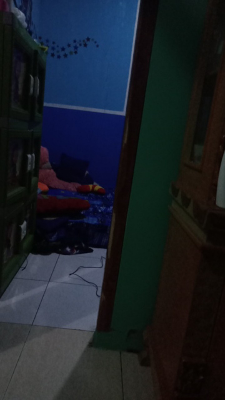 Gergaji Kecil Set / Mini /gergaji Ukir Serbaguna Set