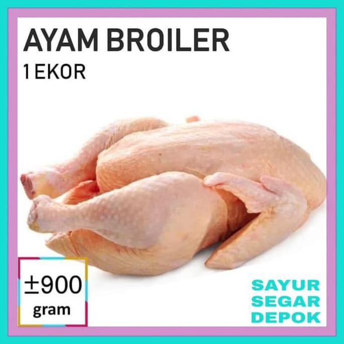 

Promo Daging Ayam Broiler