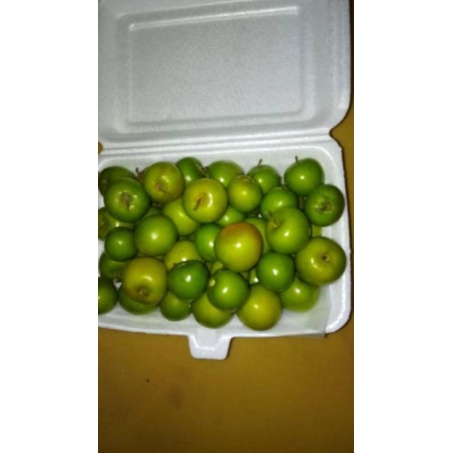 Buah Bidara Arab Segar 500 gram