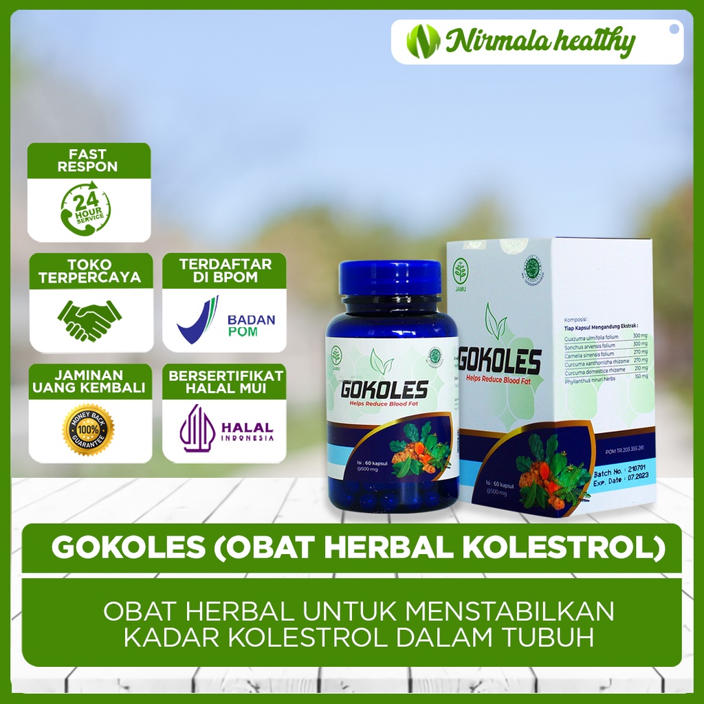 GOKOLES ASLI ORIGINAL OBAT UNTUK MENURUKAN KOLESTROL TINGGI HERBAL 100%