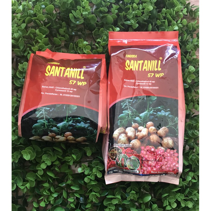 

Fungisida “SANTANILL” 57WP(500gram)