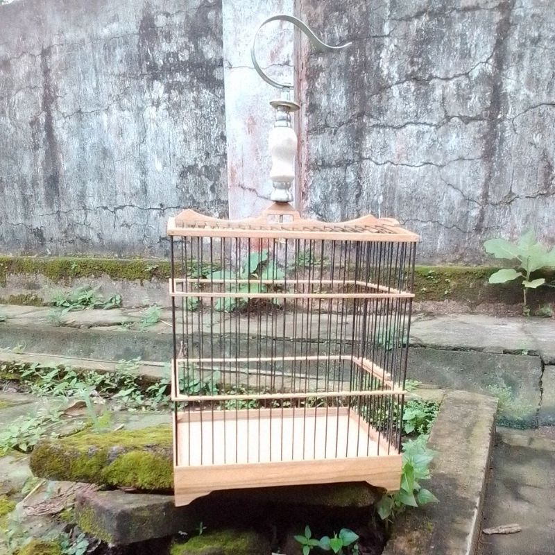 sangkar burung ciblek sirtu