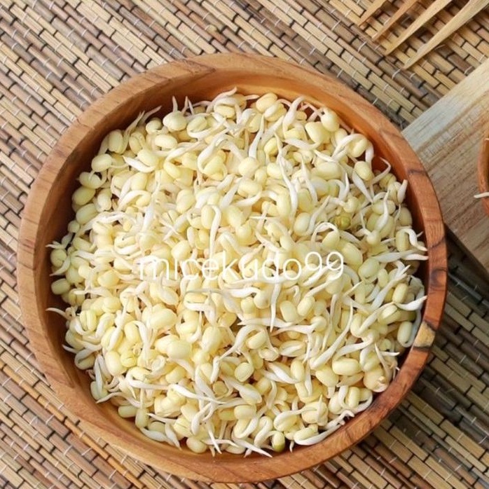 

TAUGE RAWON SEGAR SAYUR TOGE PENDEK SOTO KECAMBAH CAMBAH FRESH