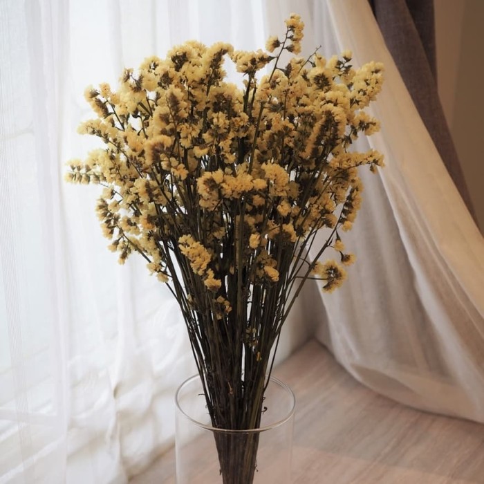 Dried Flower / Bunga Kering Statice