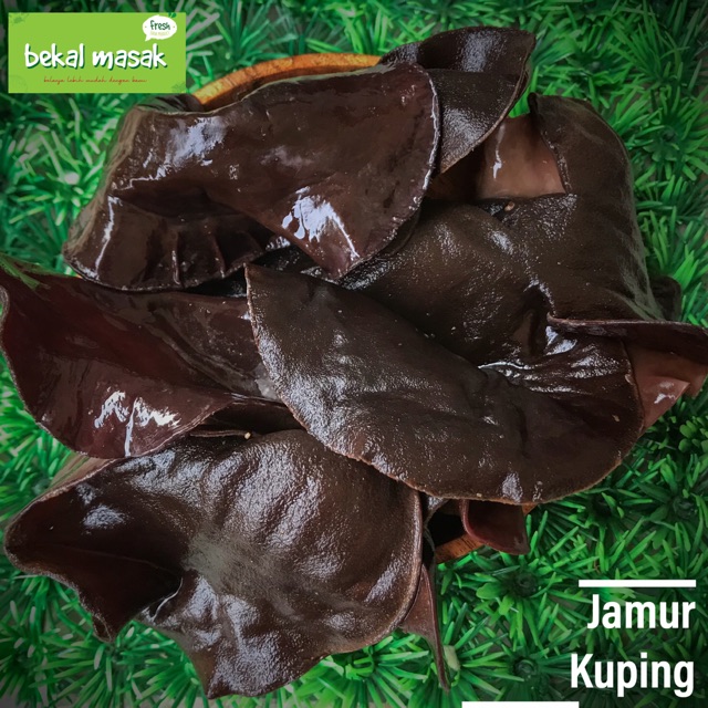 

Jamur Kuping Hitam