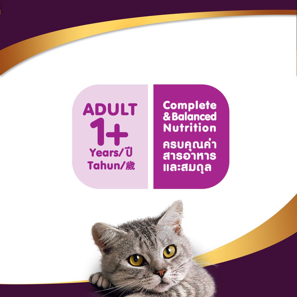 WHISKAS® Tasty Mix Makanan Kucing Basah Pouch 70gr - Isi 24-5