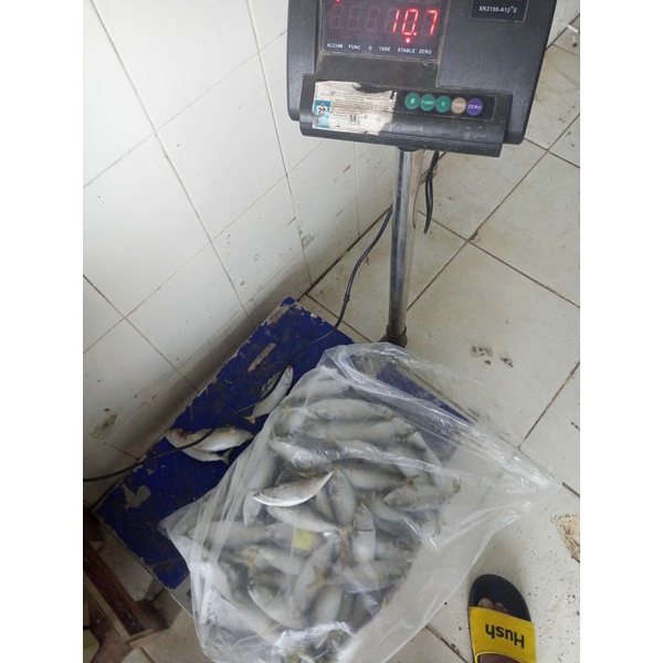

ikan kembung banjar