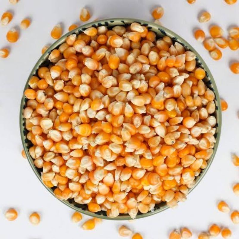 Jagung Popcorn Mentah / Jagung Brondong Mentah / Berat 500 Gram