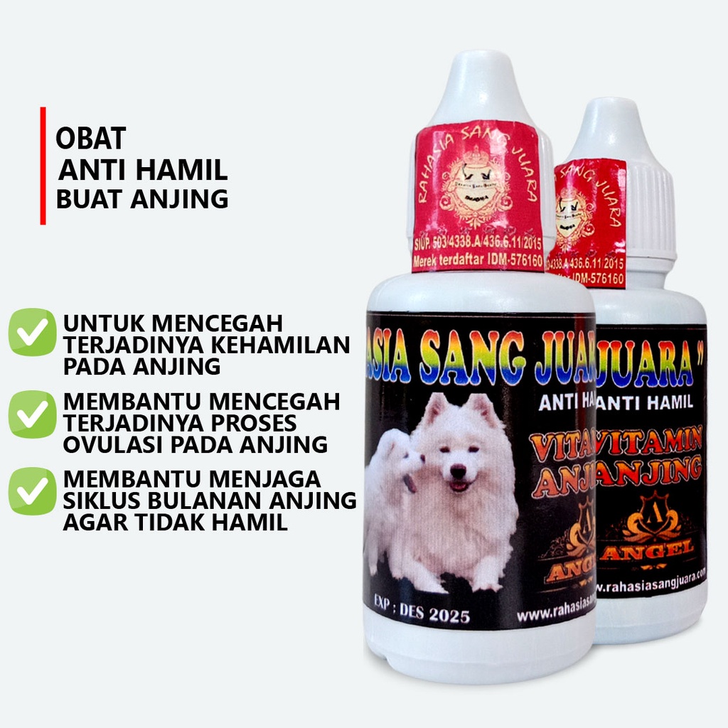 OBAT ANTI HAMIL ANJING | OBAT ANTI KEHAMILAN ANJING AMPUH MENCEGAH KEHAMILAN ANJING