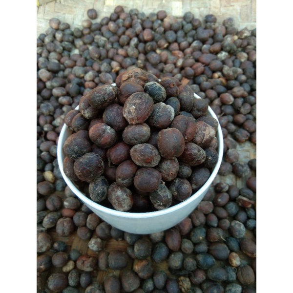 

KOPI LAMPUNG KOPI ROBUSTA GLONDONG KERING 1KG /KOPI KECiL GLONDONG KERING