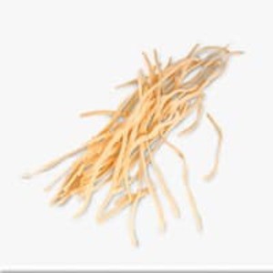 

Makanan Kering Cheese Stick Mie KARTIKA SARI Oleh Oleh Khas Bandung OK
