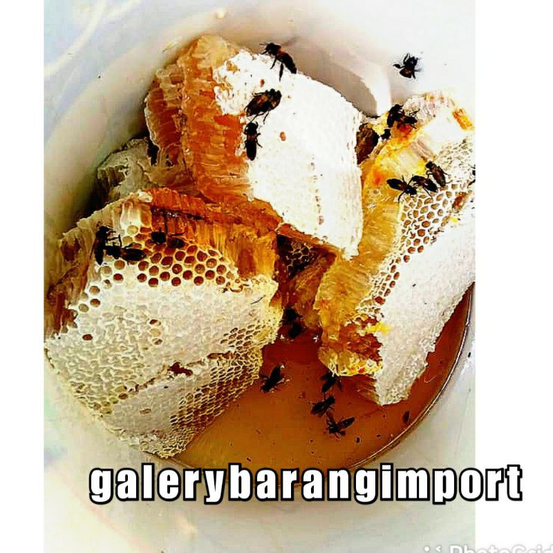 

MADU ALAMI 100% MADU HUTAN KEMASAN TEH BOTOL SOSRO