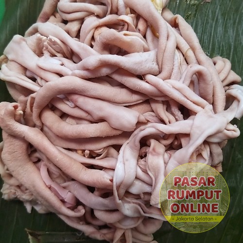 

Usus ayam potong fresh kiloan Pasar Rumput Online