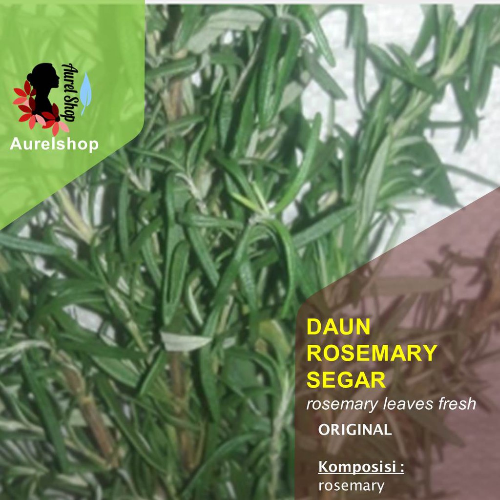 

Daun Rosemary Segar kemasan 1 kg
