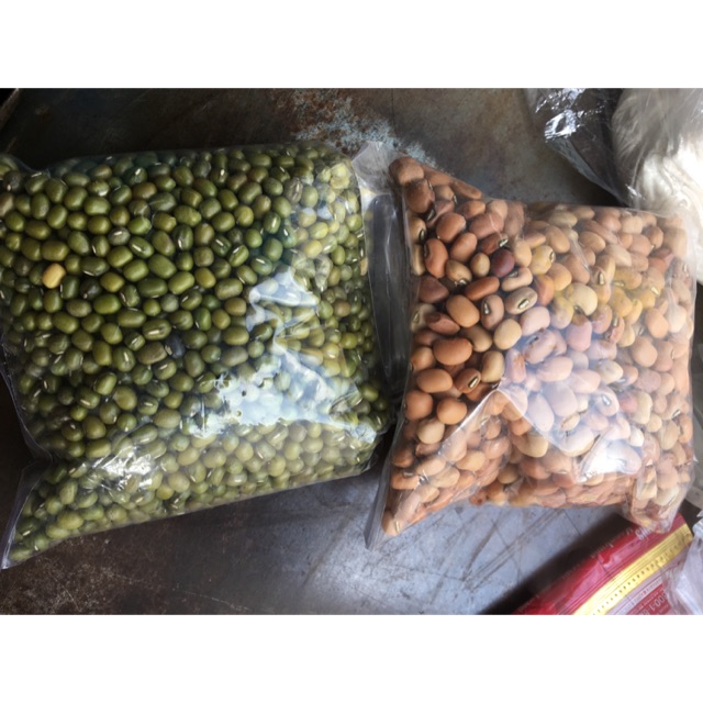 

Kacang hijau / kacang tolo